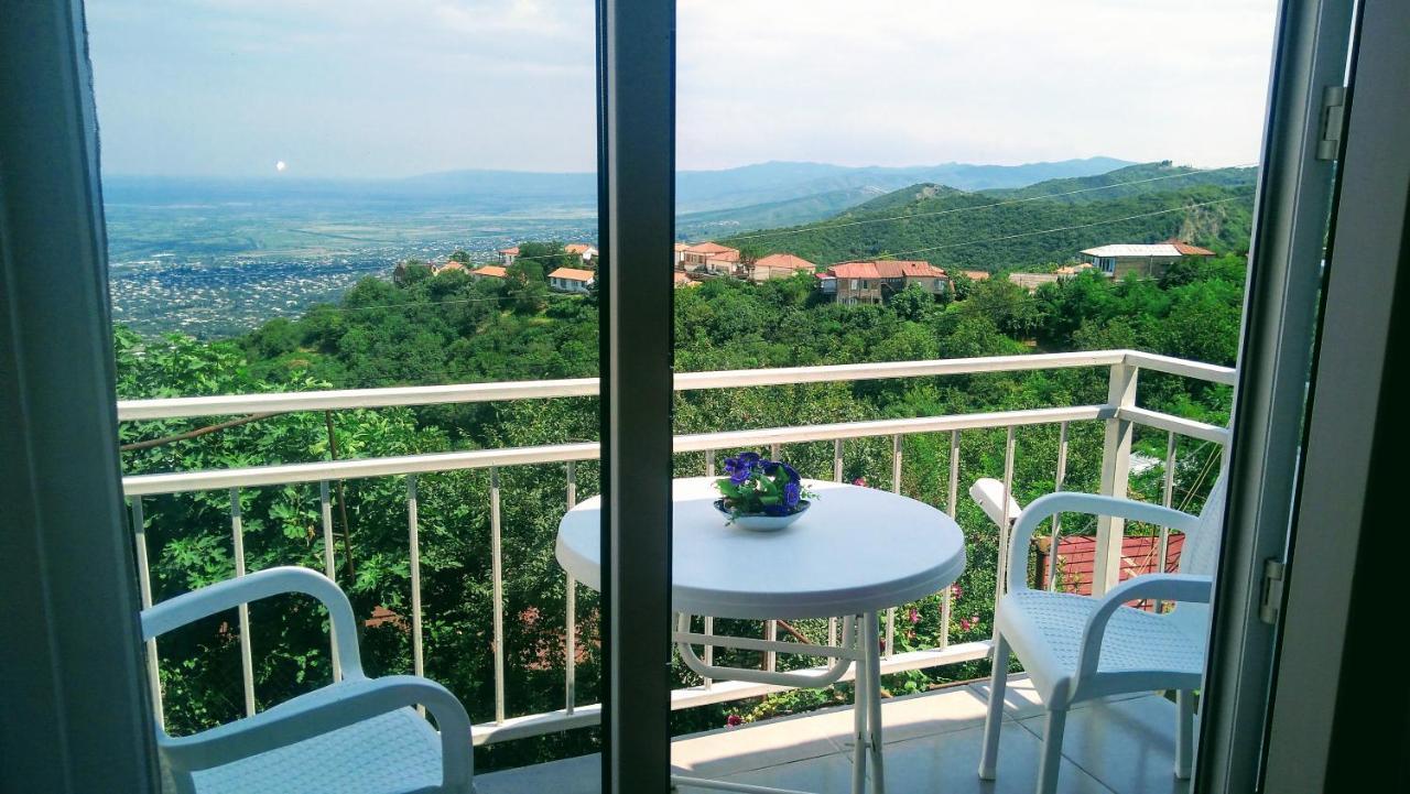 Guest House Alazani Valley Sighnaghi Exterior photo