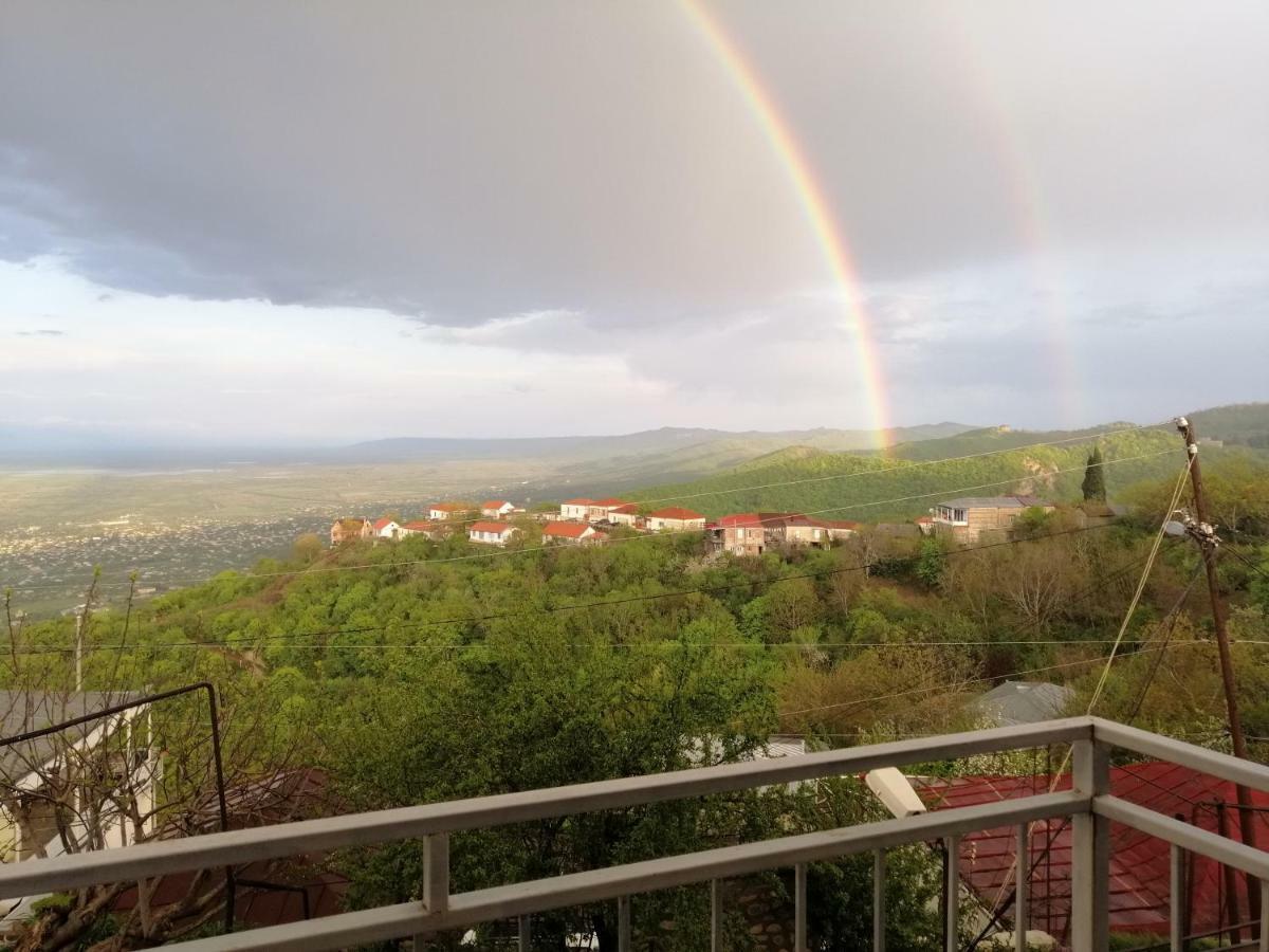 Guest House Alazani Valley Sighnaghi Exterior photo