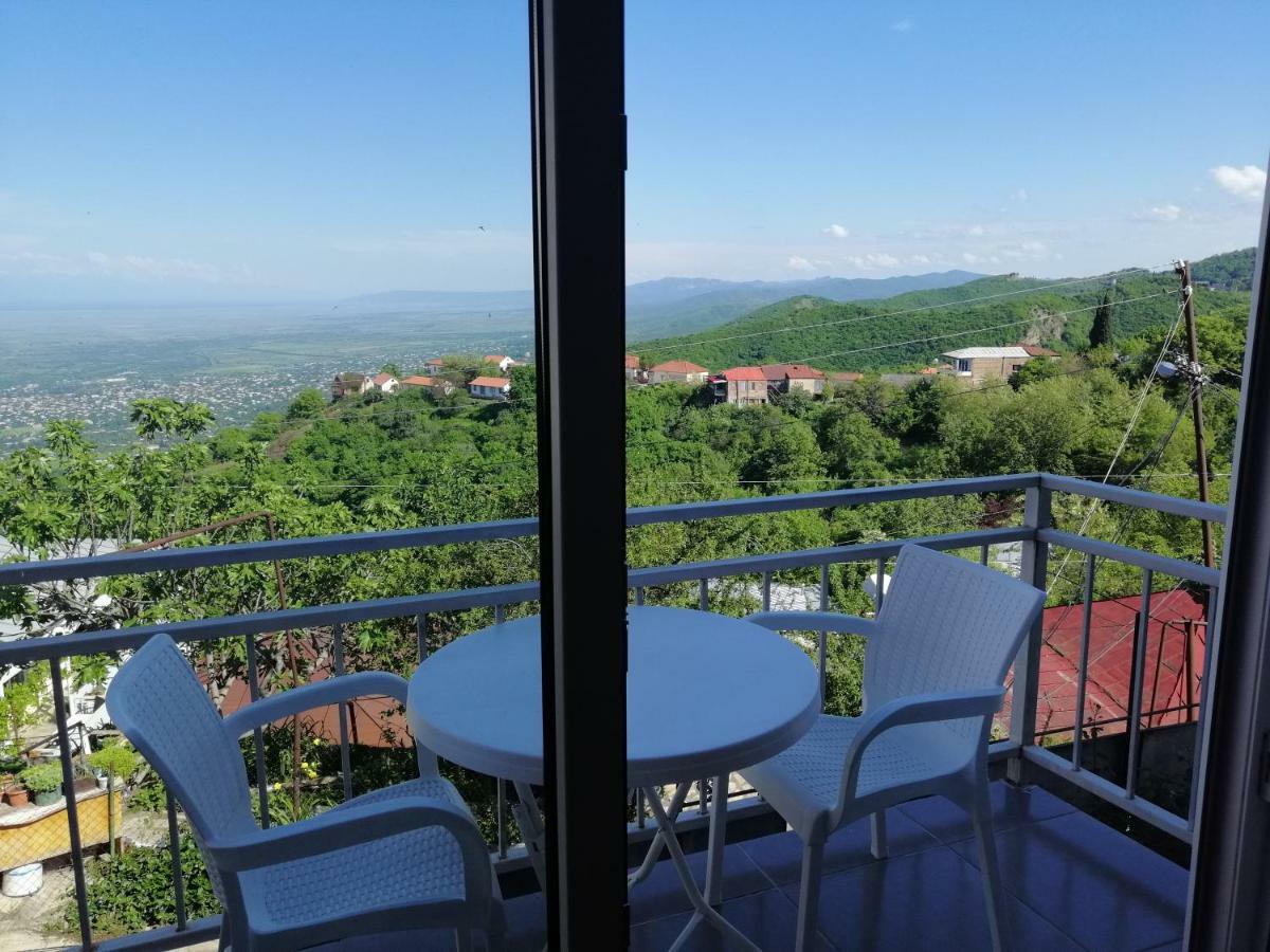 Guest House Alazani Valley Sighnaghi Exterior photo